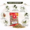 Kunjika Jadibooti Mehandi Leaves | Henna Mehandi Leaves | Whole Natural Pure Henna Leaves - 100 gm
