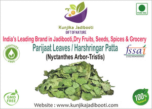 Kunjika Jadibooti Harshringar Patta | Parijat Patta | Parijaat Leaves | Nyctanthes Arbor | Tristis | Night Jasmine - 100 gm