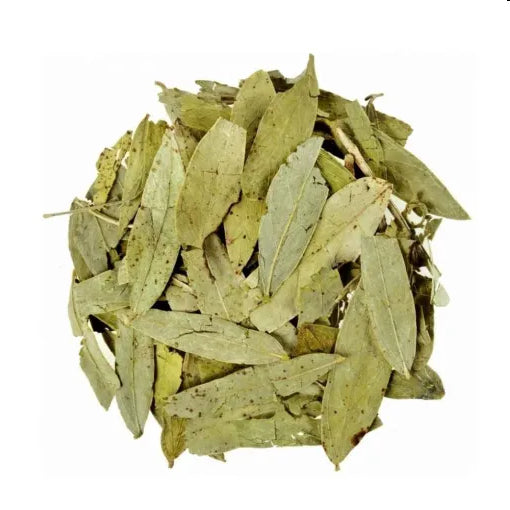 Kunjika Jadibooti Senna Leaves Dried | Nilavarai | Sanay | Cassia angustifolia | Alexandrina| Cassia Angustifolia| Sonamukhi Patta| Sanay Patti |Sonamukhi Leaves 100 gm