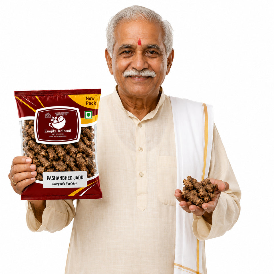 Kunjika Jadibooti Pashanved, Pashanbhed | Bergenia ligulata - 100 gm