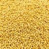 Kunjika Jadibooti Yellow Mustard Seeds / Peeli Sarson Pesticides Free | Indian Spices & Masala| Indian Spices & Masala - 200 gm