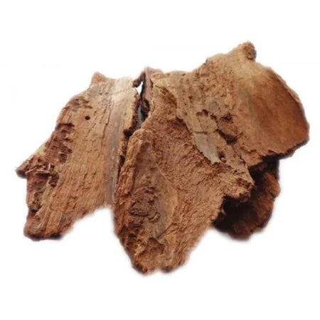 Kunjika Jadibooti Pipal Chaal - Peepal Bark - Pipal Chhal - Ficus religiosa - 100 gm