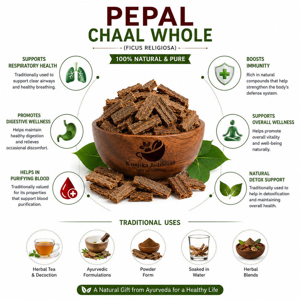 Kunjika Jadibooti Pipal Chaal - Peepal Bark - Pipal Chhal - Ficus religiosa - 100 gm