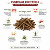 Kunjika Jadibooti Punarnava - Punarnava Root - Sathi Jadd - Boerhaavia Diffusa Root - Spreading Hogweed - 100 gm