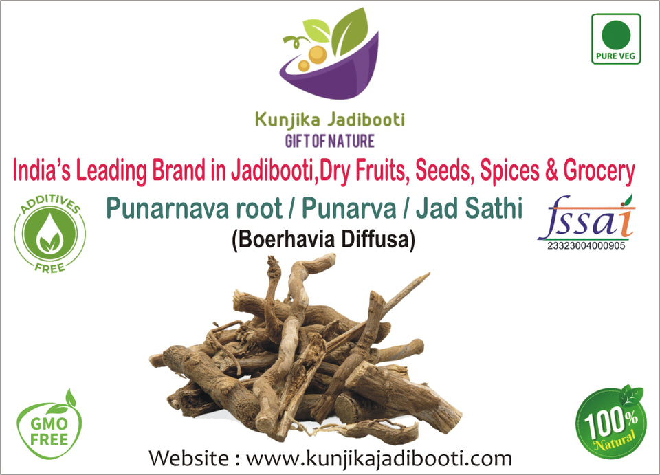 Kunjika Jadibooti Punarnava - Punarnava Root - Sathi Jadd - Boerhaavia Diffusa Root - Spreading Hogweed - 100 gm