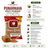 Kunjika Jadibooti Punarnava Powder - Punarnava Root - Sathi Jadd - Boerhaavia Diffusa Root - Spreading Hogweed Powder - 100 gm