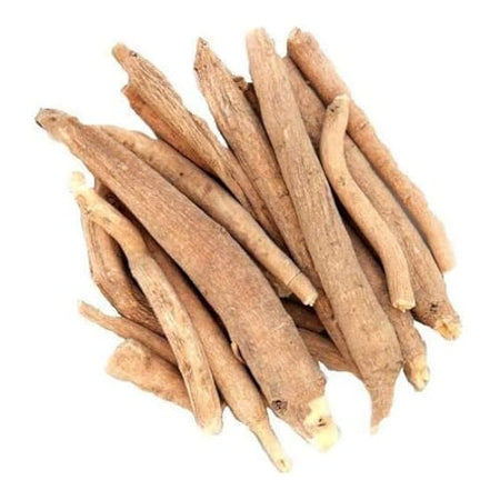 Kunjika Jadibooti Asgandh Nagori | Nagori Ashwagandha | Asgandh | Withania Somnifera | Indian Nagori Ginseng 100 Gram
