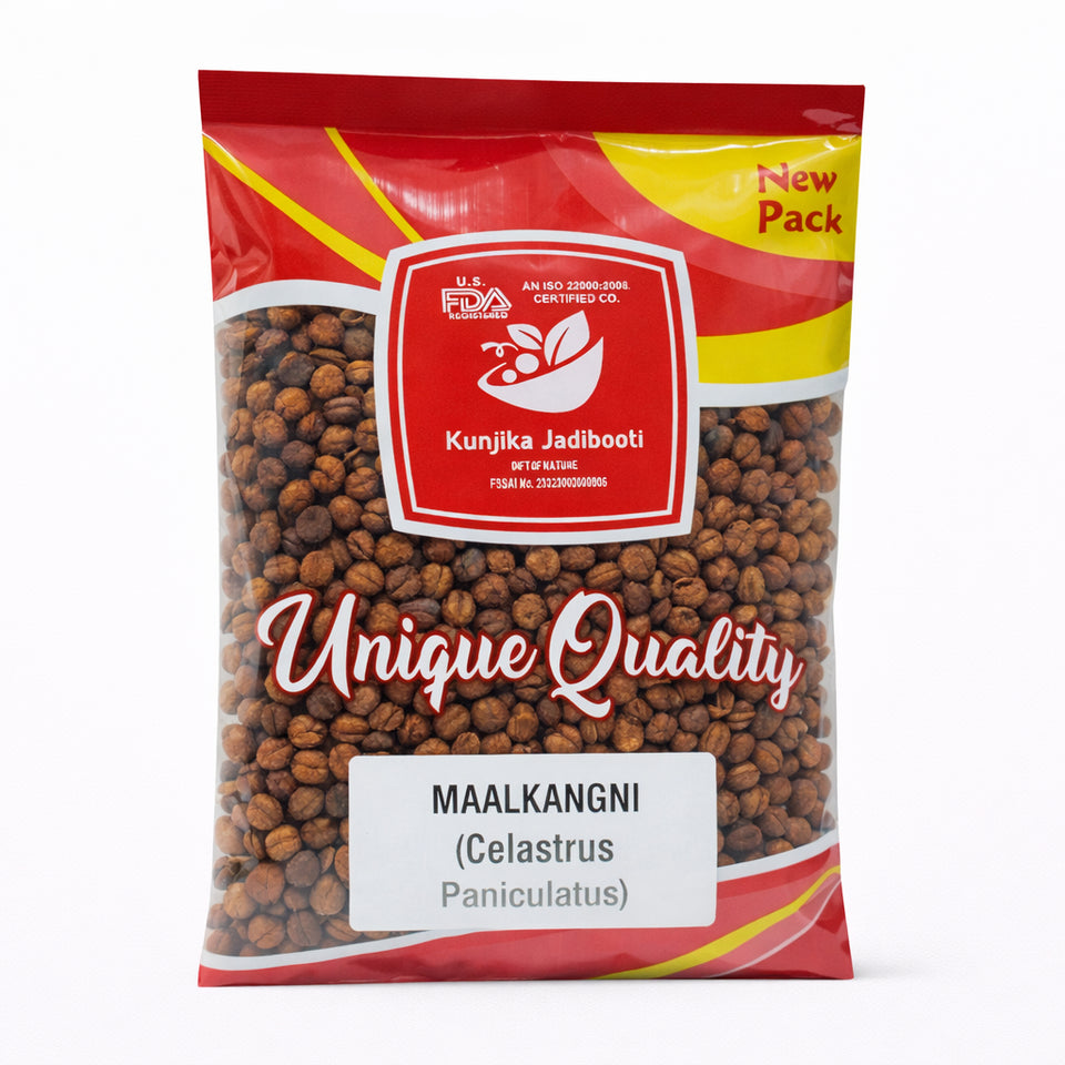 Kunjika Jadibooti Malkangni Seeds (Celastrus Paniculatus) – Premium Ayurvedic Herb | Jyotishmati Seeds Whole | Natural Herbal Seeds for Traditional Ayurvedic Preparations | 100% Pure & Natural