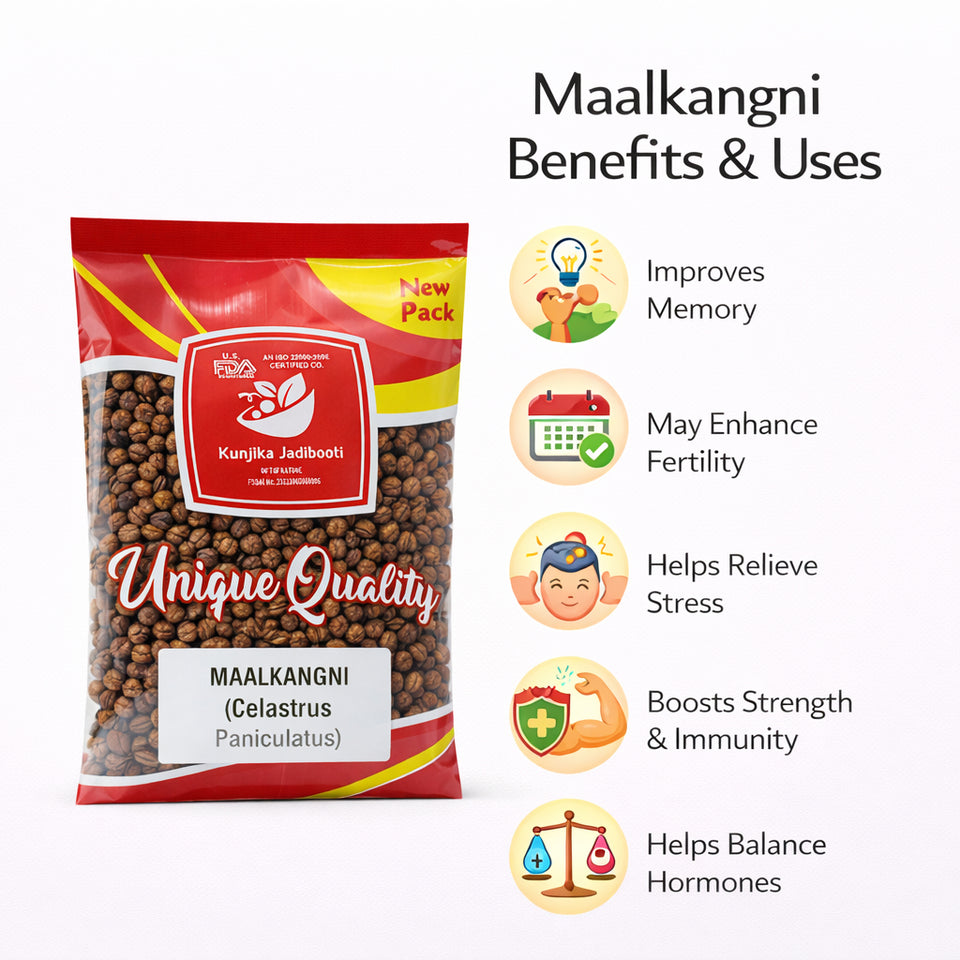 Kunjika Jadibooti Malkangni Seeds (Celastrus Paniculatus) – Premium Ayurvedic Herb | Jyotishmati Seeds Whole | Natural Herbal Seeds for Traditional Ayurvedic Preparations | 100% Pure & Natural