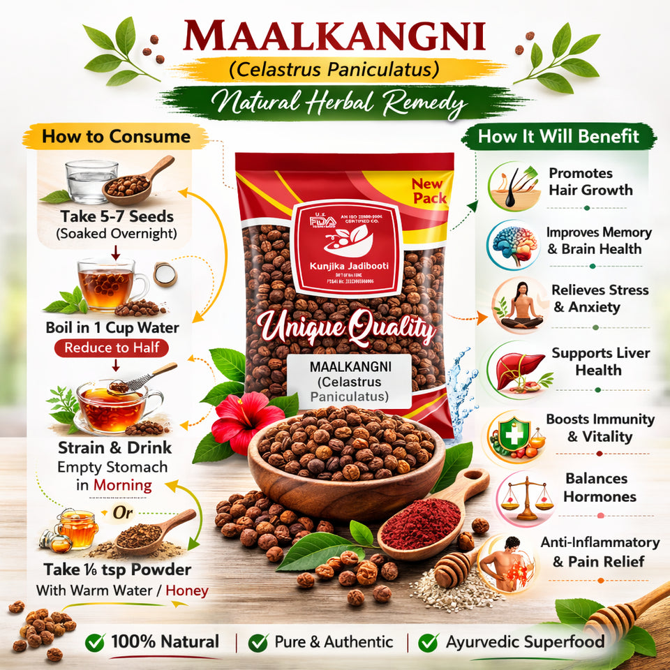 Kunjika Jadibooti Malkangni Seeds (Celastrus Paniculatus) – Premium Ayurvedic Herb | Jyotishmati Seeds Whole | Natural Herbal Seeds for Traditional Ayurvedic Preparations | 100% Pure & Natural
