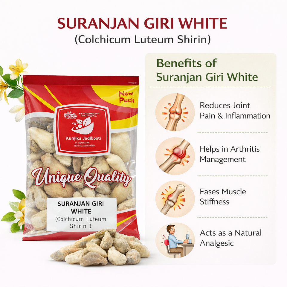 Kunjika Jadibooti Suranjan Giri Meethi (Suranjan Shirin) Whole – Premium Ayurvedic Herb | Sweet Colchicum Root | Natural Raw Herb for Traditional Ayurvedic Preparations | 100% Pure & Natural