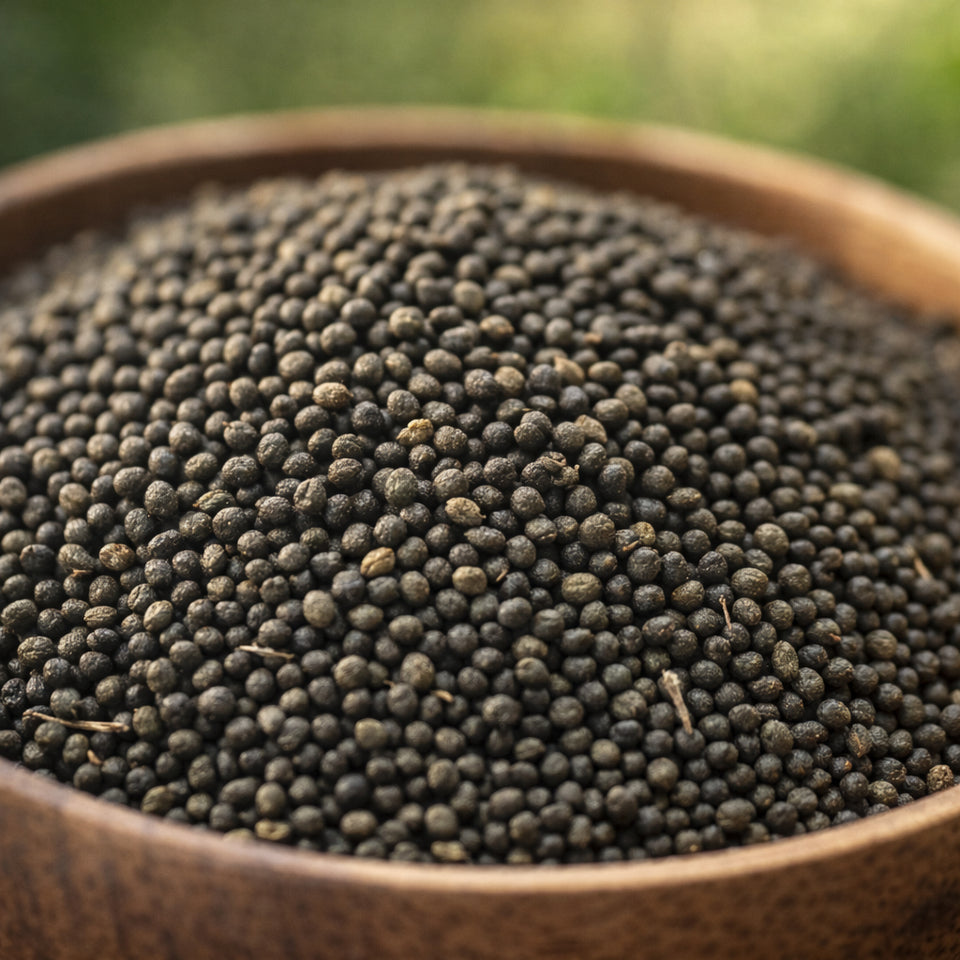 Kunjika Jadibooti Kateri Beej (Kantakari Seeds) | Satyanasi ke Beej | Solanum Xanthocarpum Seeds | Natural Herb for Traditional Ayurvedic Preparations | Pure, Raw & Chemical Free