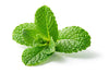 Pujahaat Peppermint Essential Oil for Aroma Therapy, Hair & Skin Pure, Natural, Undiluted - Vegan & Cruelty free - 15 ml