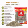 Kunjika Jadibooti Dry Nirgundi Beej | Vitex Negundo Ayurvedic Herbal Seeds for Joint Care Muscle Wellness & Herbal Kadha - 100 gm