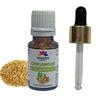 Pujahaat Coriander Essential Oil (Coriandrum sativum) Pure | Non-Sticky | Non-greasy | Natural & Undiluted | Therapeutic Grade Aromatherapy | Hair Care - Vegan & Cruelty free - 15 ml