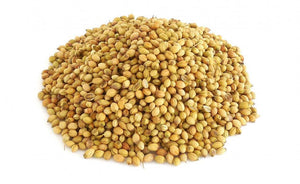 Pujahaat Coriander Essential Oil (Coriandrum sativum) Pure | Non-Sticky | Non-greasy | Natural & Undiluted | Therapeutic Grade Aromatherapy | Hair Care - Vegan & Cruelty free - 15 ml