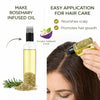Kunjika Jadibooti Rosemary Leaves Dry 100 gm for Hair Growth Skin Care Herbal Dried Rosemary Patti Tea Cooking Spice Natural Ayurvedic Herb for Hair Oil with Comb applicator bottle