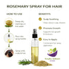 Kunjika Jadibooti Rosemary Leaves Dry 100 gms for Herbal Tea Cooking Spice Dried Rosemary Patti Hair Growth Skin Care Natural Ayurvedic Herb for Hair Oil includes 100 ml Mist Spray bottle