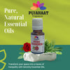 Pujahaat Rose (Gulab Oil) Essential Oil Natural and Therapeutic Grade For Skin, Aromatherapy - Vegan & Cruelty free - 15 ml