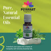 Pujahaat Spearmint Essential Oil | For Skin, Hair, Face & Body | Natural & Pure | Suitable for All Skin Types | Ideal for Aromatherapy | Therapeutic Grade - Vegan & Cruelty free - 15 ml