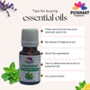 Pujahaat Spearmint Essential Oil | For Skin, Hair, Face & Body | Natural & Pure | Suitable for All Skin Types | Ideal for Aromatherapy | Therapeutic Grade - Vegan & Cruelty free - 15 ml