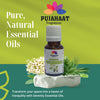 Pujahaat Jasmine Essential Oil 100% Pure & Natural for Healthy Skin Care, Face, helps Hair Growth, Diffuser Aromatherapy Fragrance & Massage Therapeutic-Grade - 15 ml