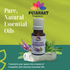 Pujahaat Clary Sage Essential Oil (Salvia sclarea) Pure | Non-Sticky | Non-greasy | Lightweight | Men & Women | All Skin Types | Steam Distilled Therapeutic-Grade - 15 ml