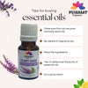 Pujahaat Clary Sage Essential Oil (Salvia sclarea) Pure | Non-Sticky | Non-greasy | Lightweight | Men & Women | All Skin Types | Steam Distilled Therapeutic-Grade - 15 ml