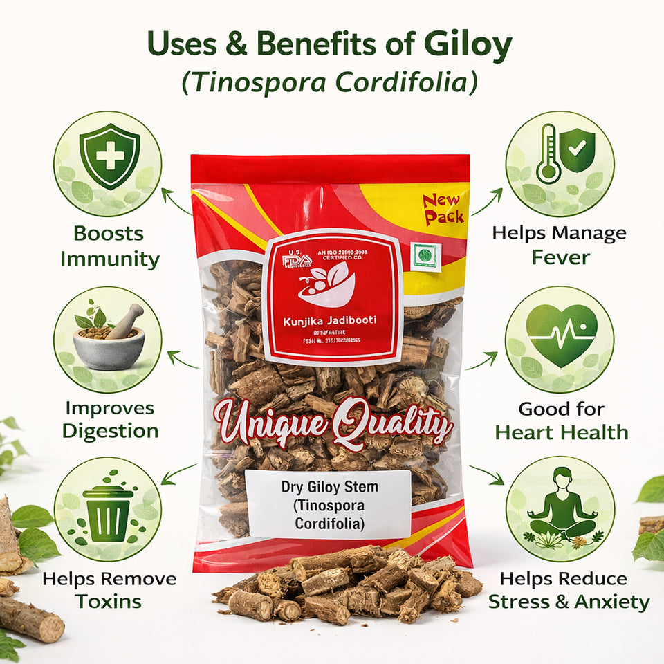Kunjika Jadibooti Giloy Stem Cutting /Dried Giloy/Amrita/Guduchi/ Tinospora Cordifolia  100 gm