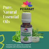 Pujahaat Oregano Essential Oil (Origanum vulgare) Pure | Non-Sticky | Non-greasy | Lightweight | Men & Women | All Skin Types | Steam Distilled Therapeutic-Grade - 15 ml