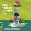 Pujahaat Aniseed Essential Oil (Pimpinella anisum) Pure | Non-Sticky | Plant-Based Skincare & Haircare Solution | Men & Women | All Skin Types | Steam Distilled Therapeutic-Grade - 15 ml