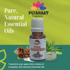 Pujahaat Pine Essential Oil - 100% Pure, Natural & Undiluted Oil for Skin Care & Hair Care | Steam Distilled Therapeutic Grade - 15 ml