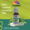 Pujahaat Sweet Marjoram Essential Oil | Origanum Majorana | Marjoram Essential Oil | Marjoram Oil | 100% Pure Natural | Steam Distilled Therapeutic Grade - 15 ml