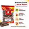Kunjika Jadibooti Jamun Guthli - Syzygium Cumini - Eugenia Jambolana Seeds - Indian Blackberry Seeds - 100 gm