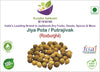 Kunjika Jadibooti Jeevak Beej - Jiya Pota Seeds - Putra Jivak Beej - Putra Jeevak Beej - Pure & Natural (100 Grams)