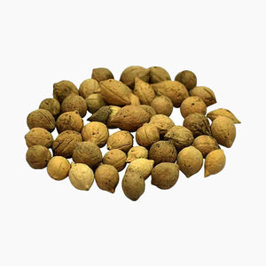 Kunjika Jadibooti Jeevak Beej - Jiya Pota Seeds - Putra Jivak Beej - Putra Jeevak Beej - Pure & Natural (100 Grams)