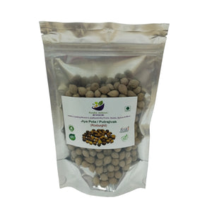 Kunjika Jadibooti Jeevak Beej - Jiya Pota Seeds - Putra Jivak Beej - Putra Jeevak Beej - Pure & Natural (100 Grams)