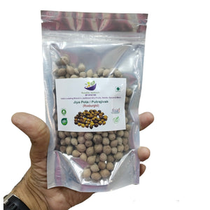 Kunjika Jadibooti Jeevak Beej - Jiya Pota Seeds - Putra Jivak Beej - Putra Jeevak Beej - Pure & Natural (100 Grams)