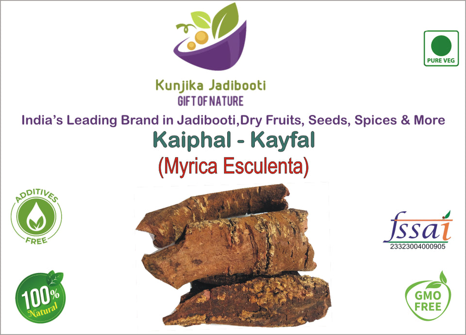Kunjika Jadibooti Kaiphal - Myrica Esculenta - Myrica Nagi (100 Grams)