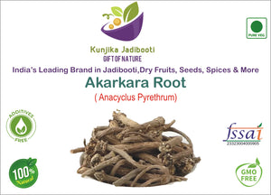 Kunjika Jadibooti Akarkara Indian | Akarkara Asli | Anacyclus Pyrethrum | Pellitory Root (100 Grams)