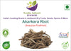 Kunjika Jadibooti Akarkara Indian | Akarkara Asli | Anacyclus Pyrethrum | Pellitory Root (100 Grams)