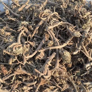 Kunjika Jadibooti Akarkara Indian | Akarkara Asli | Anacyclus Pyrethrum | Pellitory Root (100 Grams)