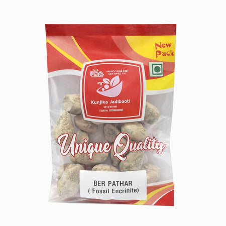 Kunjika Jadibooti Ber Patthar - Ber Pathar - Hajrul Yahood - Fossil Encrinite - Sange Yahood  - 100 grams
