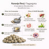 Kunjika Jadibooti Sagargota / Fever Nut /Caesalpinia Bonducella/ Karanjwa / Vajra Bijaka/ Indian Beech/ Lata Karanj/ Saargota -100 grams