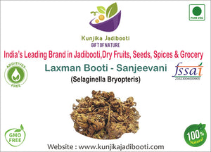 Kunjika Jadibooti Laxman Booti - Sanjeevani - Pitta Kalu - Selaginella Bryopteris - Lakshman Buti -100 grams