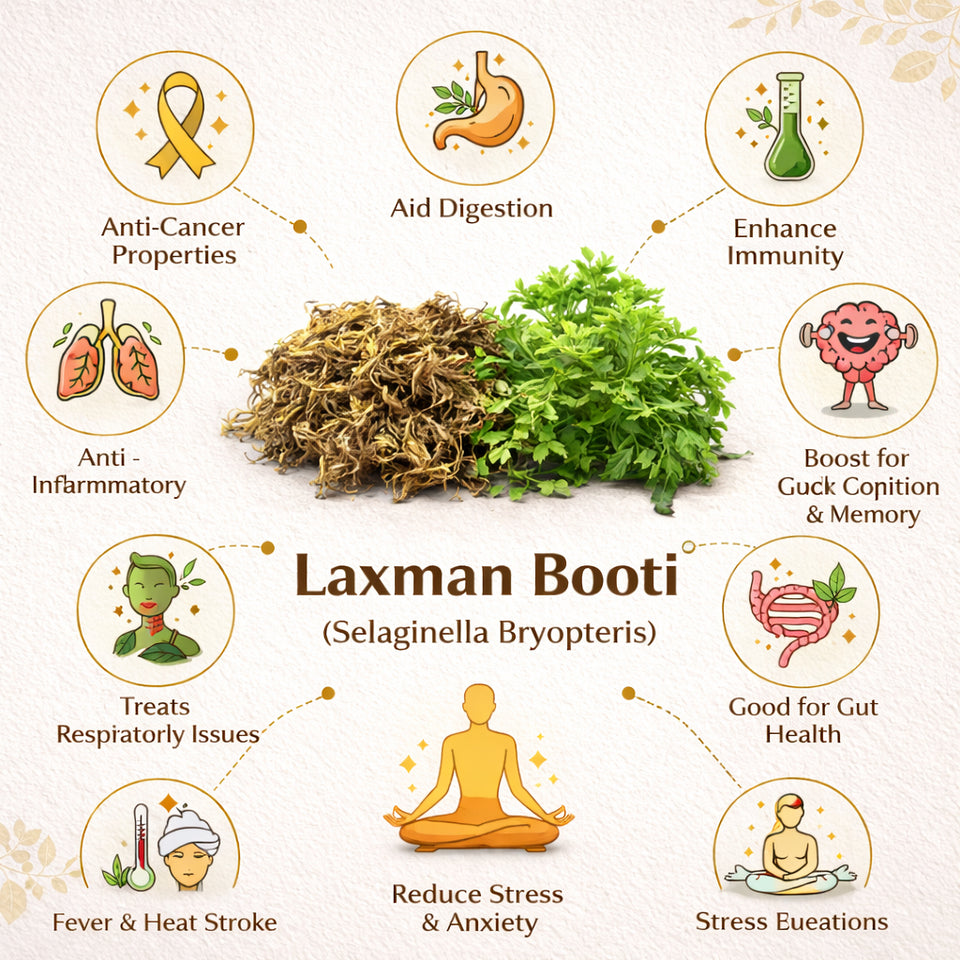 Kunjika Jadibooti Laxman Booti - Sanjeevani - Pitta Kalu - Selaginella Bryopteris - Lakshman Buti -100 grams
