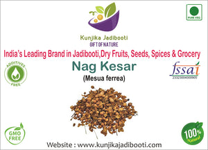 Kunjika Jadibooti Naagkesar/Nagkesar/Mesua ferrea/ Iron Wood tree/ Ochrocarpus Longifolius - Cobra's Saffron - 100gms