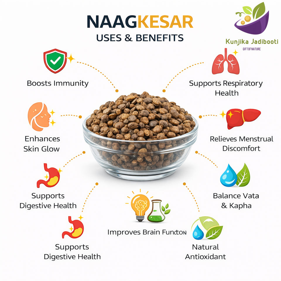 Kunjika Jadibooti Naagkesar/Nagkesar/Mesua ferrea/ Iron Wood tree/ Ochrocarpus Longifolius - Cobra's Saffron - 100gms