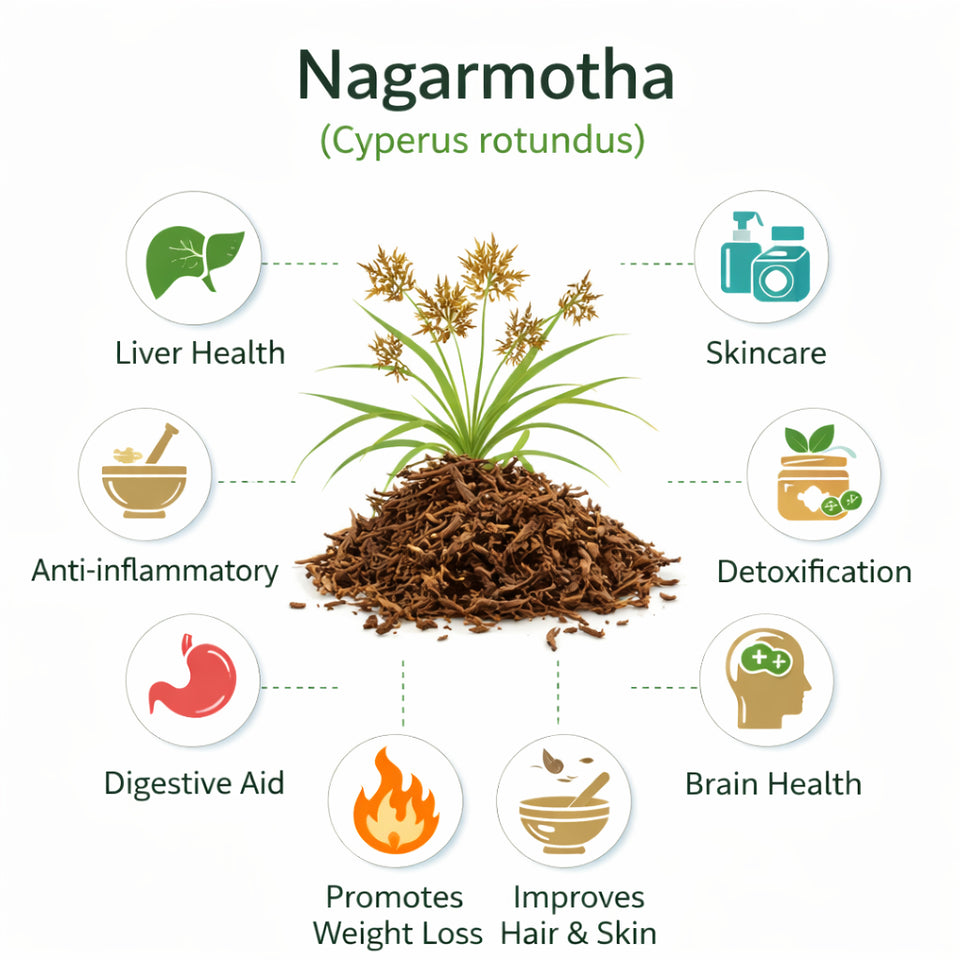 Kunjika Jadibooti Nagarmotha | Nagar Mutha | Nagarmotha Roots | Nagarmotha Jadd | Nutsedge Grass | Cyperus Rotundus - 100 gms