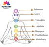 Pujahaat Crown Chakra Essential Oil Roll-On Blend | 6 ml/0.20 fl oz | Sahasrara | Aromatherapy Oils for Chakra Balance